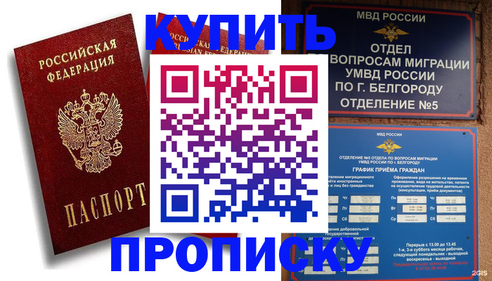 прописка иностранных граждан в Михайловке